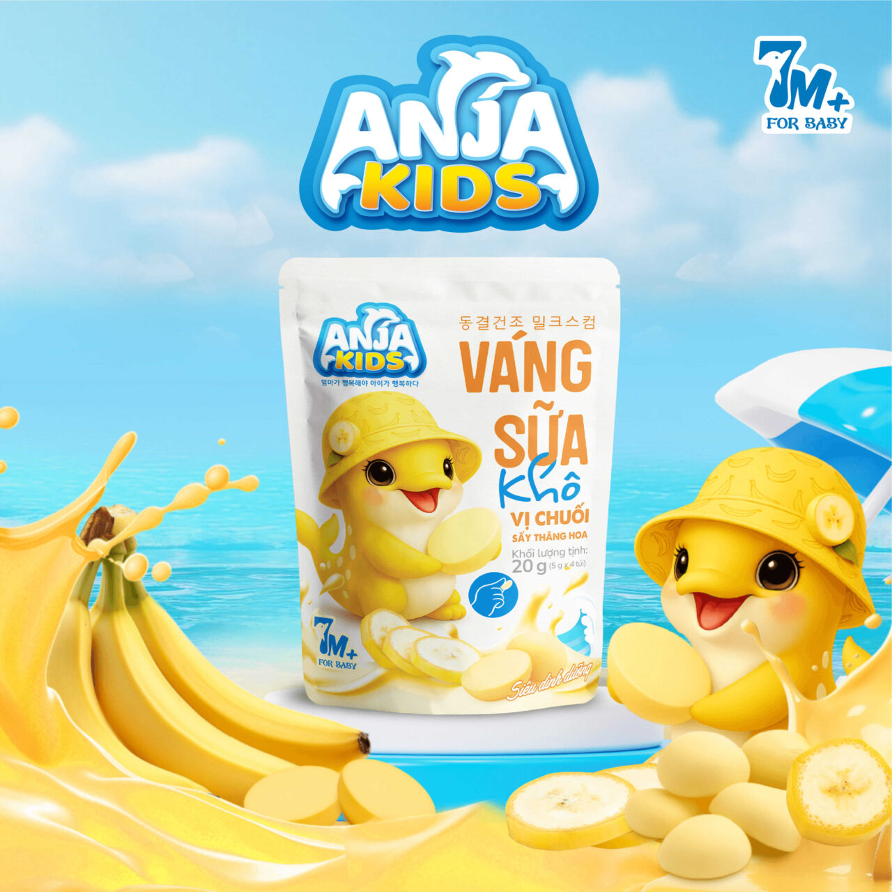 FORMANJA VANG SUA-26